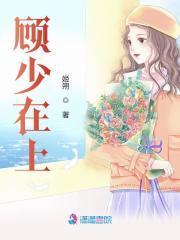 顾少在上免费阅读_顾少在上