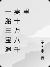 一胎三宝追妻十万八千里免费阅读_一胎三宝追妻十万八千里