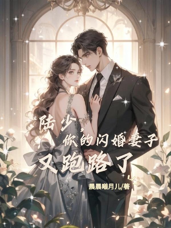 陆少，你的闪婚妻子又跑路了免费阅读_陆少，你的闪婚妻子又跑路了