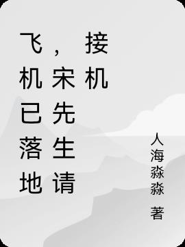 飞机已落地，宋先生请接机免费阅读_飞机已落地，宋先生请接机
