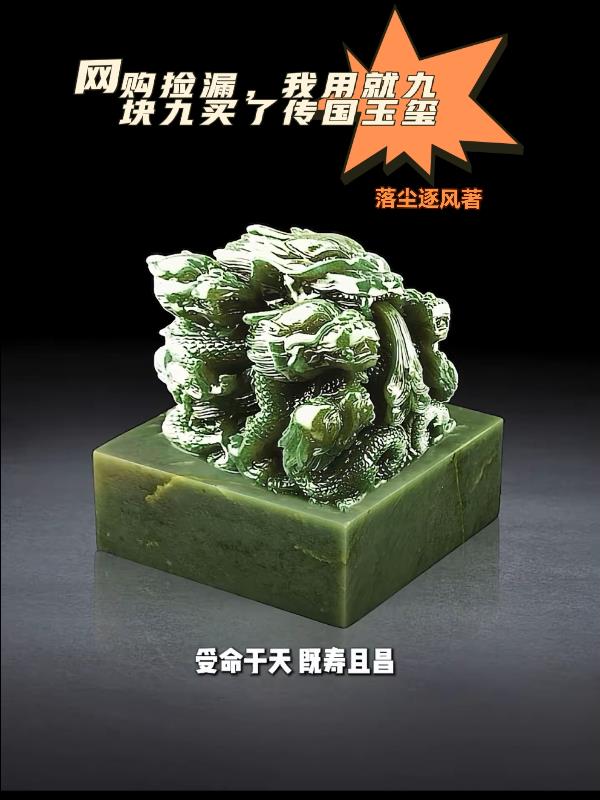 网购捡漏，我用九块九买传国玉玺免费阅读_网购捡漏，我用九块九买传国玉玺