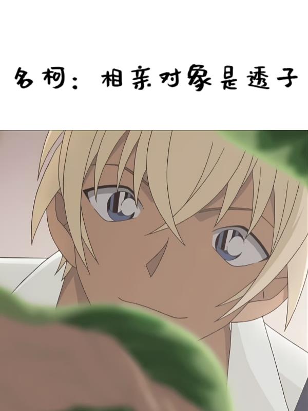名柯：相亲对象是透子免费阅读_名柯：相亲对象是透子